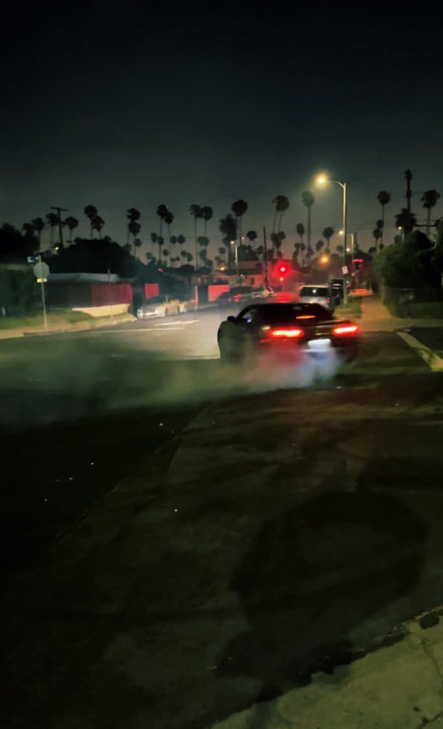 P🌴🦈 tweet media