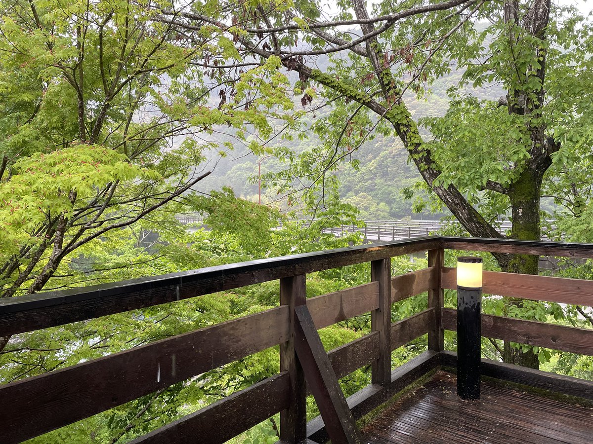blancheRC030993's tweet photo. 暑くなったり寒くなったり、、、。

今日は生憎���雨☔️

でも雨露にぬれた新緑は綺麗でした✨ https://t.co/CRUIBXLMIx