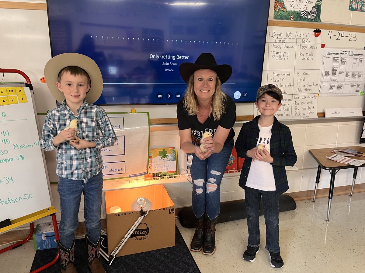 BessieEllison54's tweet photo. 1st grade watched their  baby chicks hatch! https://t.co/x1DodrItNT
