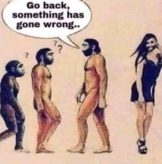 ABHIMANYUAEIE's tweet photo. @DrLoupis What a pity!!
Apes worked their asses off, for soooo many years, to transform to human beings from animals.
Had they known what was ahead, they would have sat on trees, passing their time and we would have been spared of this day. https://t.co/t5Pvs0qyGm