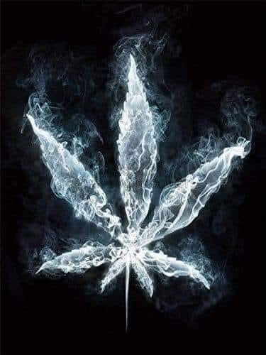 jacstar724's tweet photo. Thanks for the puff puff PASS Minnesota! ๐๐๐จ
#legalizeweed #Minnesota #passtotheleft https://t.co/J4Jms5L2sz