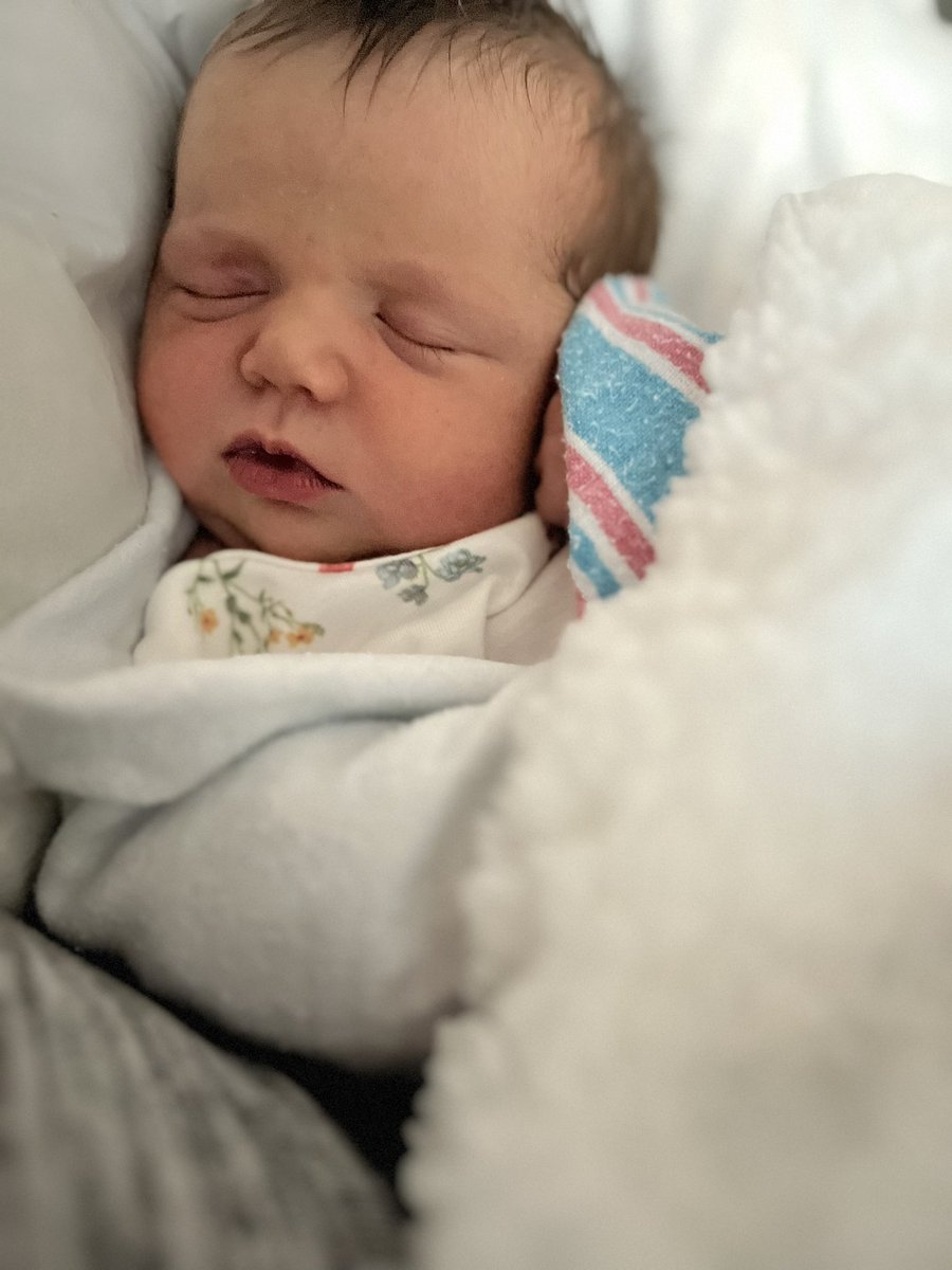 brookelynntay's tweet photo. Mommas little M.A.C- aroni 🥹🥰 https://t.co/DA6OzAGcUl