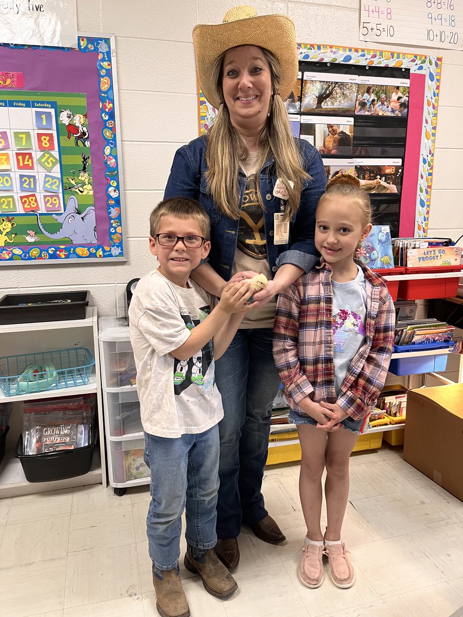 BessieEllison54's tweet photo. More1st gr. baby chicks https://t.co/QWV50ONilc