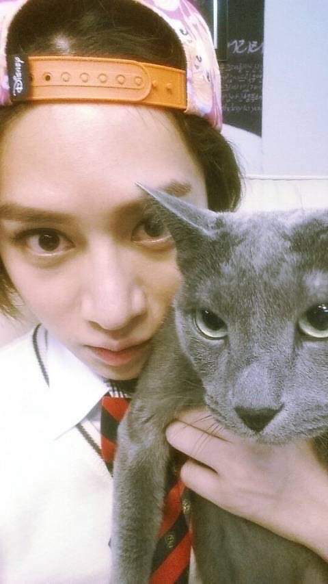 MillimELF's tweet photo. Like boss like pet 🐕🐕🐕
#heechul #KimHeeChul #heebum https://t.co/DUDb4afVb7