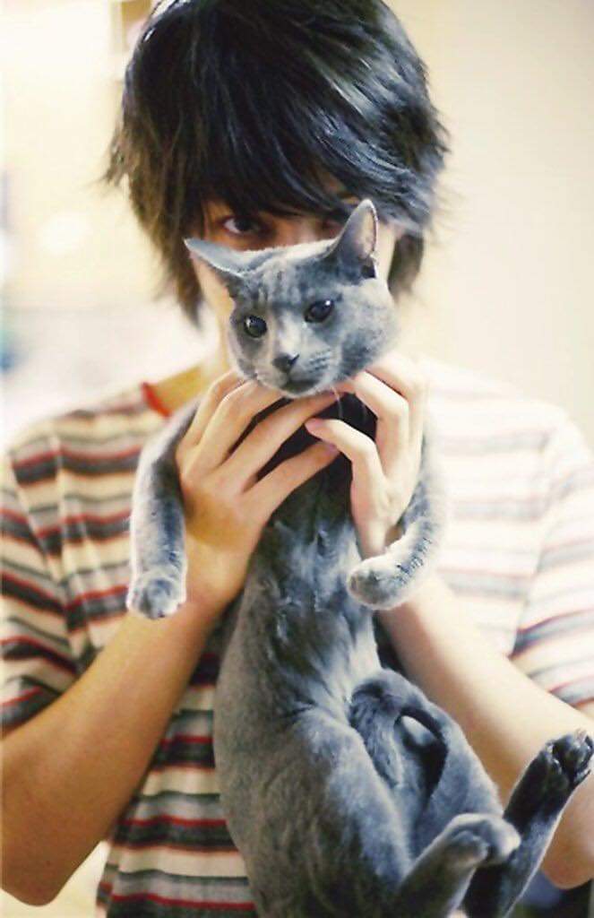 MillimELF's tweet photo. Like boss like pet 🐕🐕🐕
#heechul #KimHeeChul #heebum https://t.co/DUDb4afVb7
