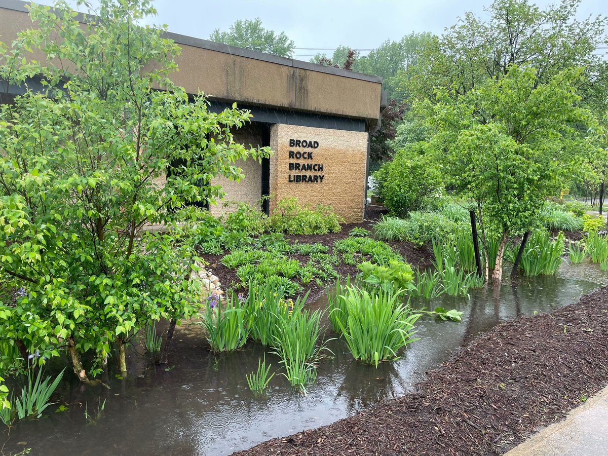 rvalibrary's tweet photo. Broad Rock Rain Gardens in action 🌧️ 🌿 https://t.co/8Malzw9TAl