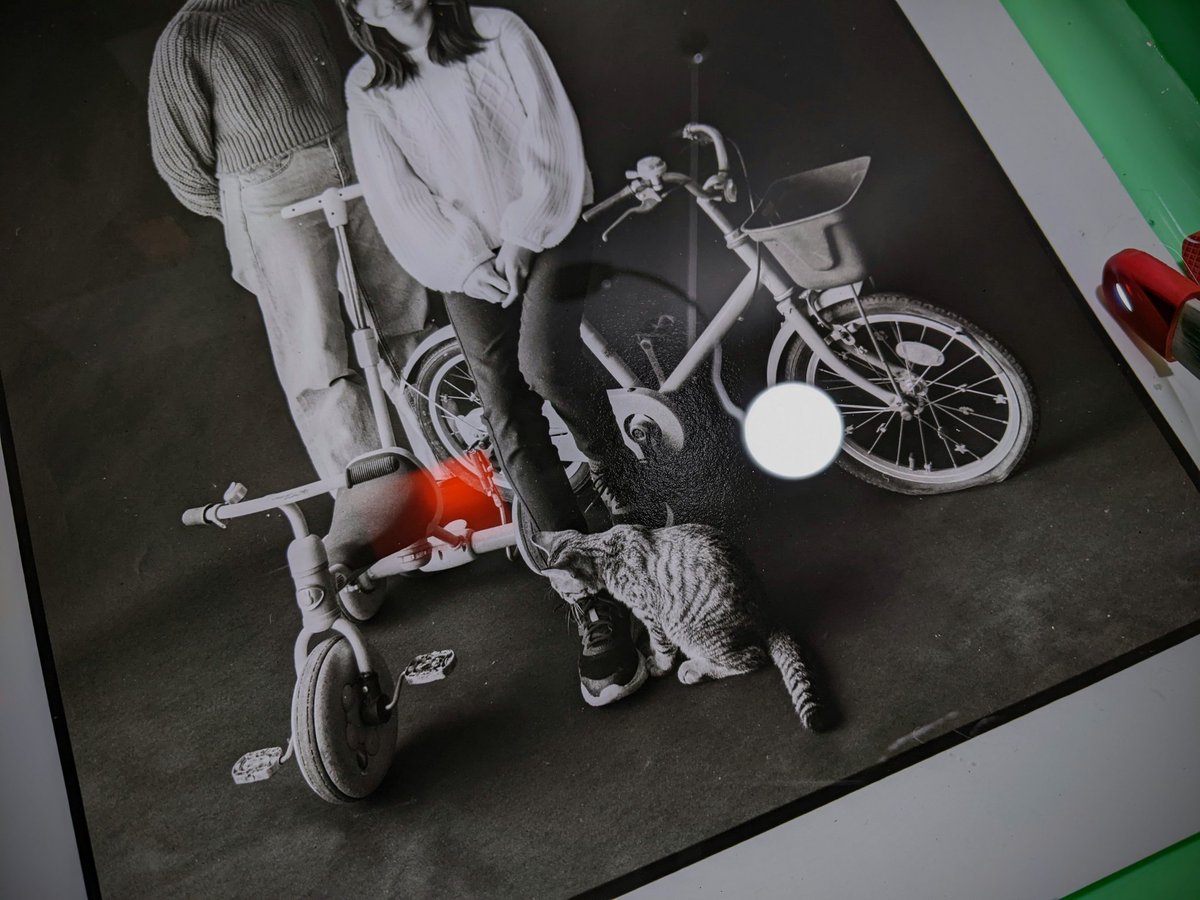 Grooving_Tmax's tweet photo. 朝から暗室。写真は楽し、難し!
#暗室
#ポートレート
#フィルム写真
#portrate
#silversalt
#bnw https://t.co/j5gsYsnmfU