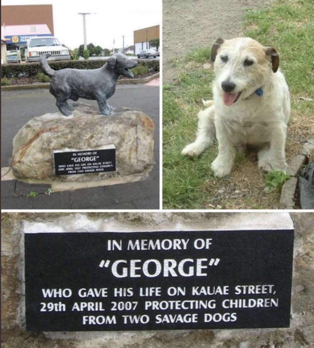 _B___S's tweet image. 