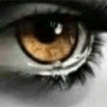 ordem anything Bot ✝️ tweet media