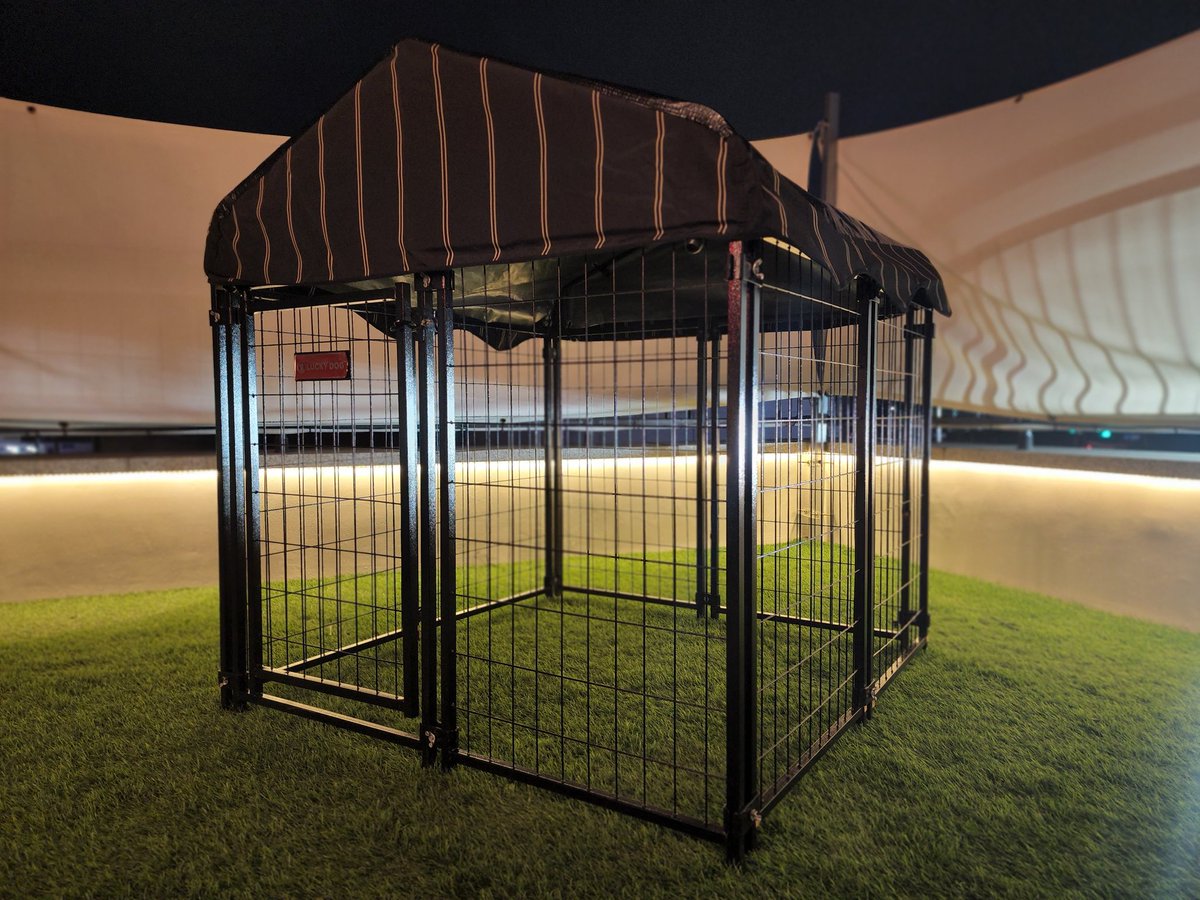 케이지설치 
구속구도 준비되어있습니다 
몸만오세요 

❤성인용품은 비토이 B-TOY 
❤ b-toy.kr
❤카카오채널 💟 비토이
#비토이 #B_TOY  #루프탑성인용품점 #김포성인용품