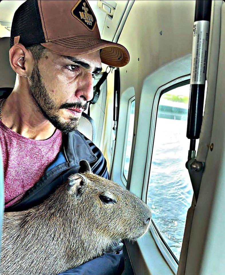 ThaayxRodrigues's tweet photo. Tinha que aparecer um espírito de porco para acabar com a felicidade deles. Denunciaram. O Ibama foi lá e confiscou a Filó. https://t.co/R8Av6Y5yf5