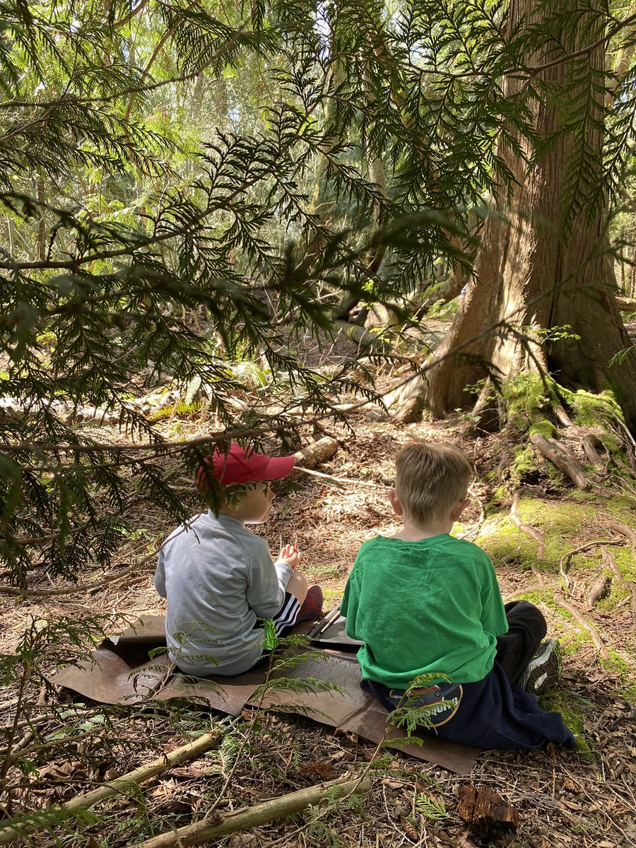 ellen_petersson's tweet photo. F R I D A Y #favouriteplace #ourforest #kindergarten #enjoyingthisplace #grateful @Surrey_Schools @HCTF_Education @GetChildrenOut https://t.co/QyPizzjihQ