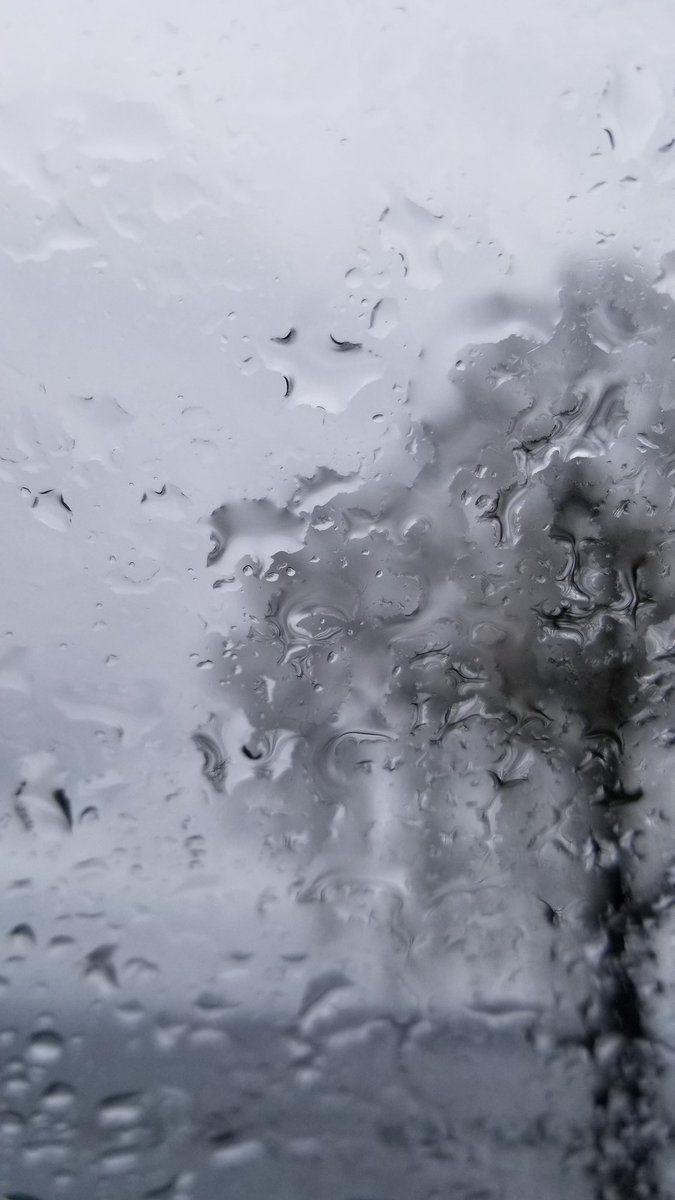 Raindrops on the windshield