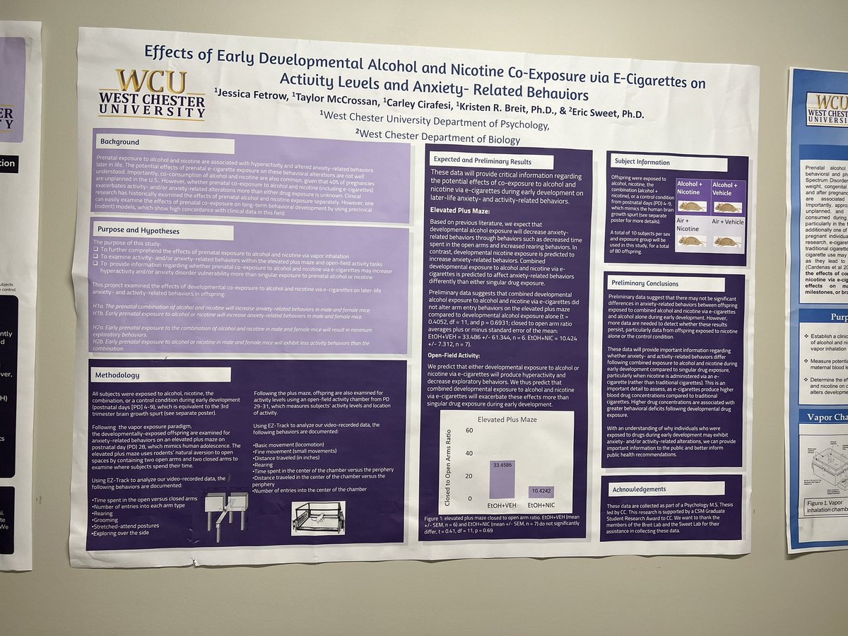 The Breit Lab 🧠✨ tweet media