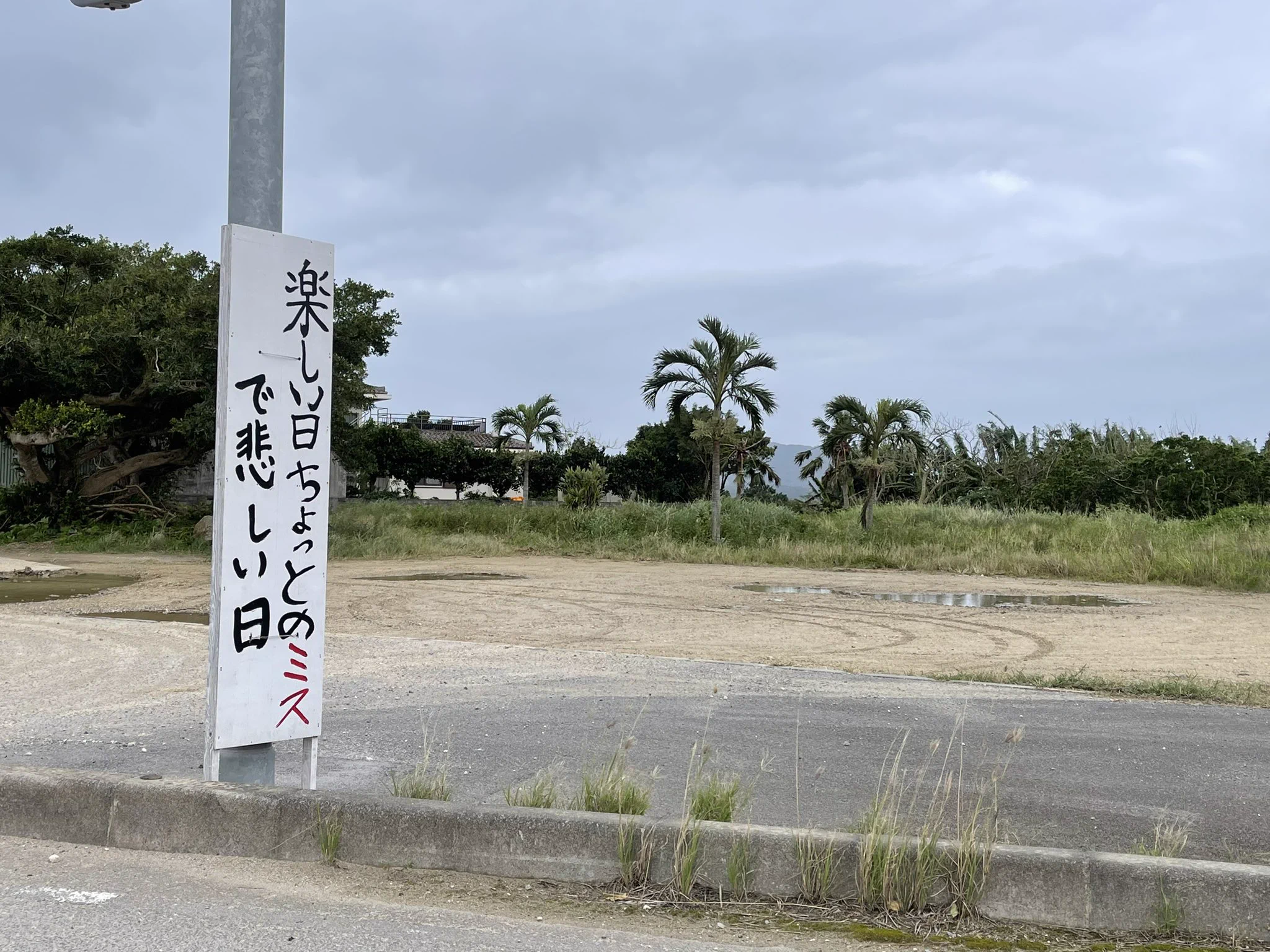 @studio_ise 私のお気に入り貼っておきます笑
島の子供たち言葉のセンスが良い✨ 