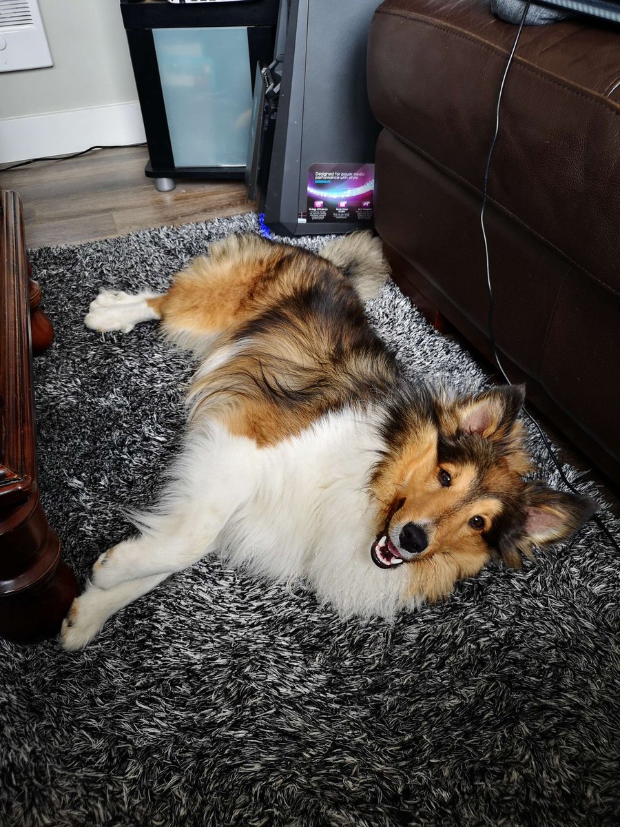 🪝 Joshua Keep ⚙️ tweet media