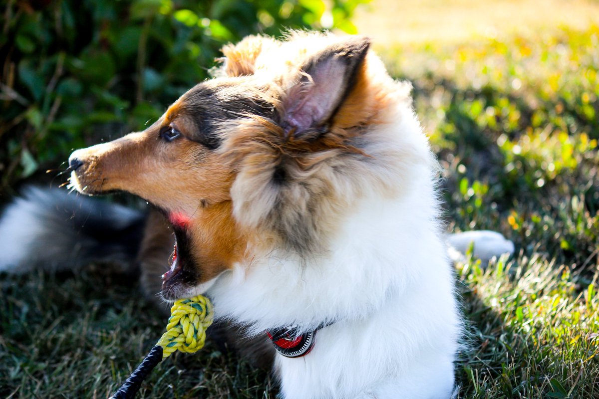 🪝 Joshua Keep ⚙️ tweet media