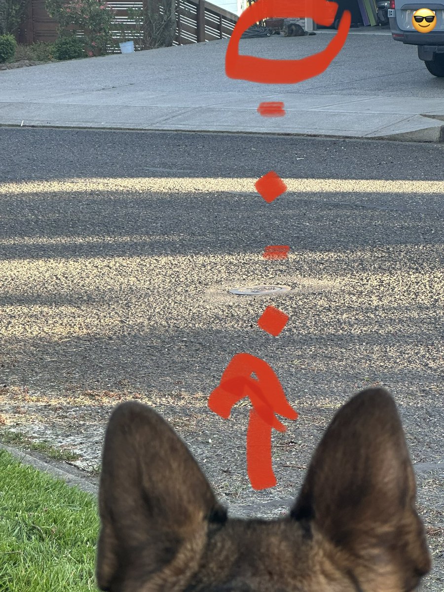 K9_Khan_retired's tweet photo. How I demonstrate proper sight alignment #murderdog https://t.co/s3mgbnAwWu