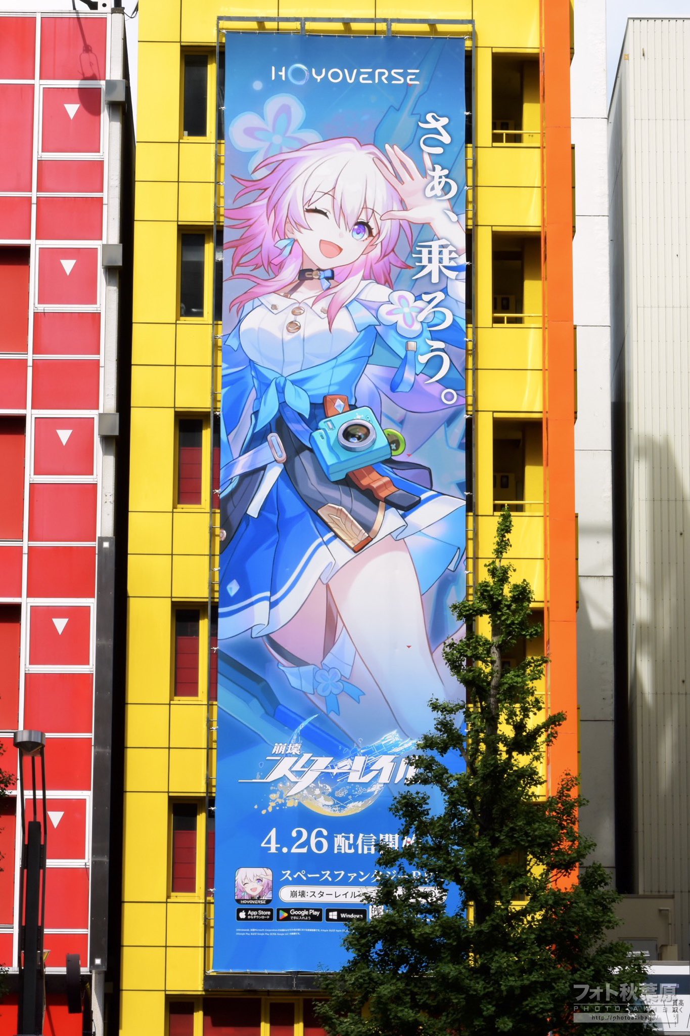 フォト秋葉原 в X: „ムーランAKIBA中央通り店の縦型広告が『崩壊