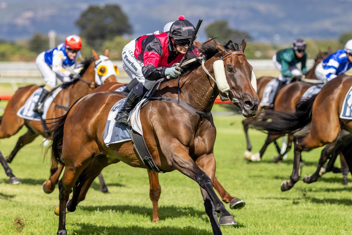 RacingCmb's tweet photo. 💥 EXHIBITION GALLOP💥

DIAMONDS and FREE OF DEBT will be having exhibition gallop between R3&amp;4 at @SAJockeyClub this afternoon 

DIAMONDS is set to resume in G1 Robert Sangster Stakes and FREE OF DEBT will be aiming to defend his G3 DC McKay Stakes crown!

@ChrisBieg https://t.co/Gw2ij0oPcI