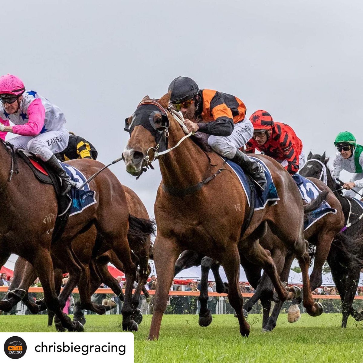 RacingCmb's tweet photo. 💥 EXHIBITION GALLOP💥

DIAMONDS and FREE OF DEBT will be having exhibition gallop between R3&amp;4 at @SAJockeyClub this afternoon 

DIAMONDS is set to resume in G1 Robert Sangster Stakes and FREE OF DEBT will be aiming to defend his G3 DC McKay Stakes crown!

@ChrisBieg https://t.co/Gw2ij0oPcI