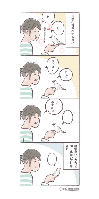 1号は鳴き真似遊びをしてくれるのだけど、難しいのはちょっと嫌い
#文鳥 
#4コマ漫画 

*過去作ダウンロードできます!(固定ツイート参照) 