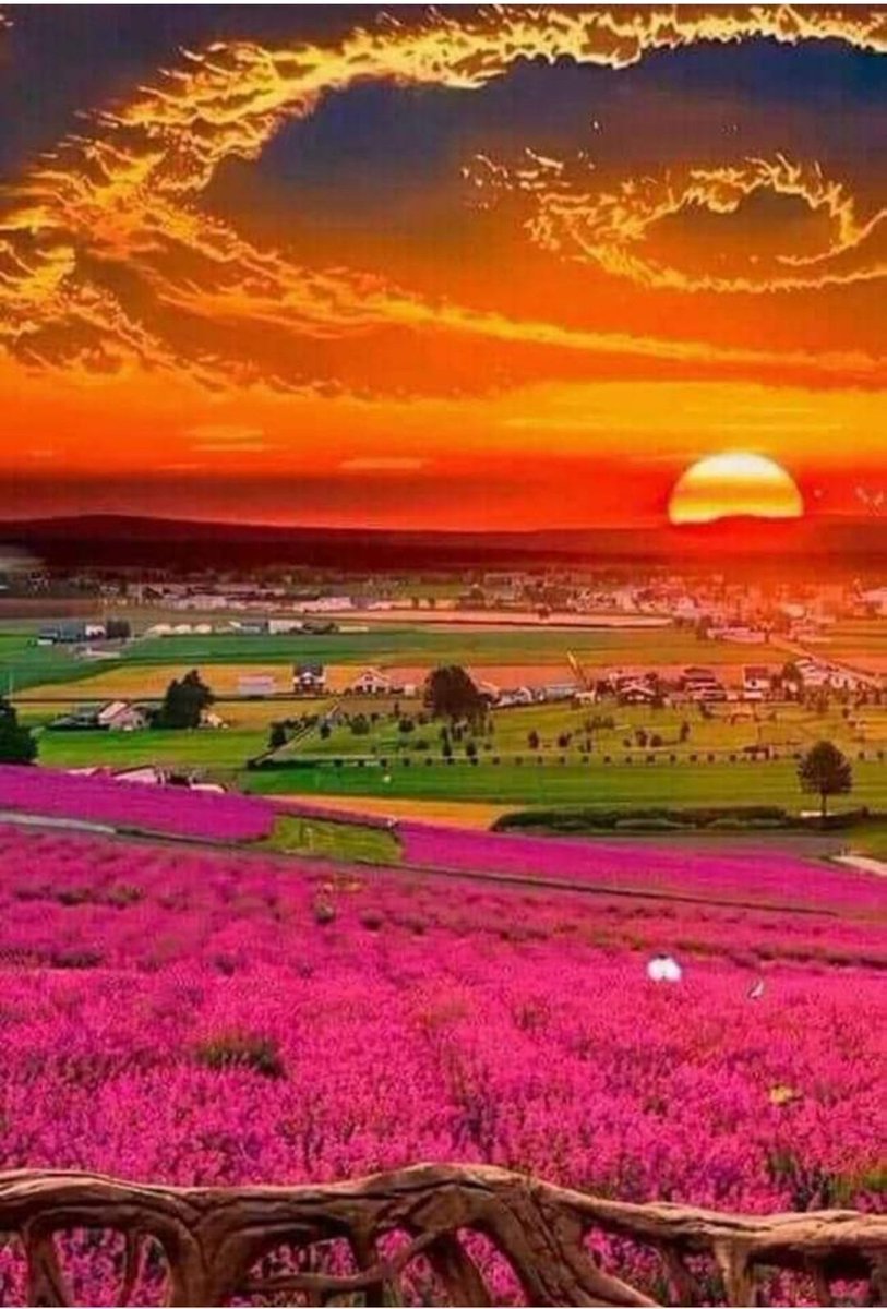 MUHTEŞEM BİR GÜN DOĞUMU