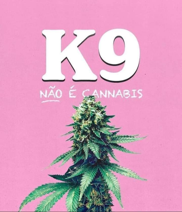 canabisbrasil's tweet photo. K9 é uma droga sintética de substâncias desconhecidas e é mais letal do que o crack. Muitas pessoas estão compartilhando informações falsas sobre a nova droga e dizendo que é maconha.

K9 NÃO É MACONHA!! 

Maconha não mata, seguimos invictos no mundo!🍁 https://t.co/Ss6A6bfHWV