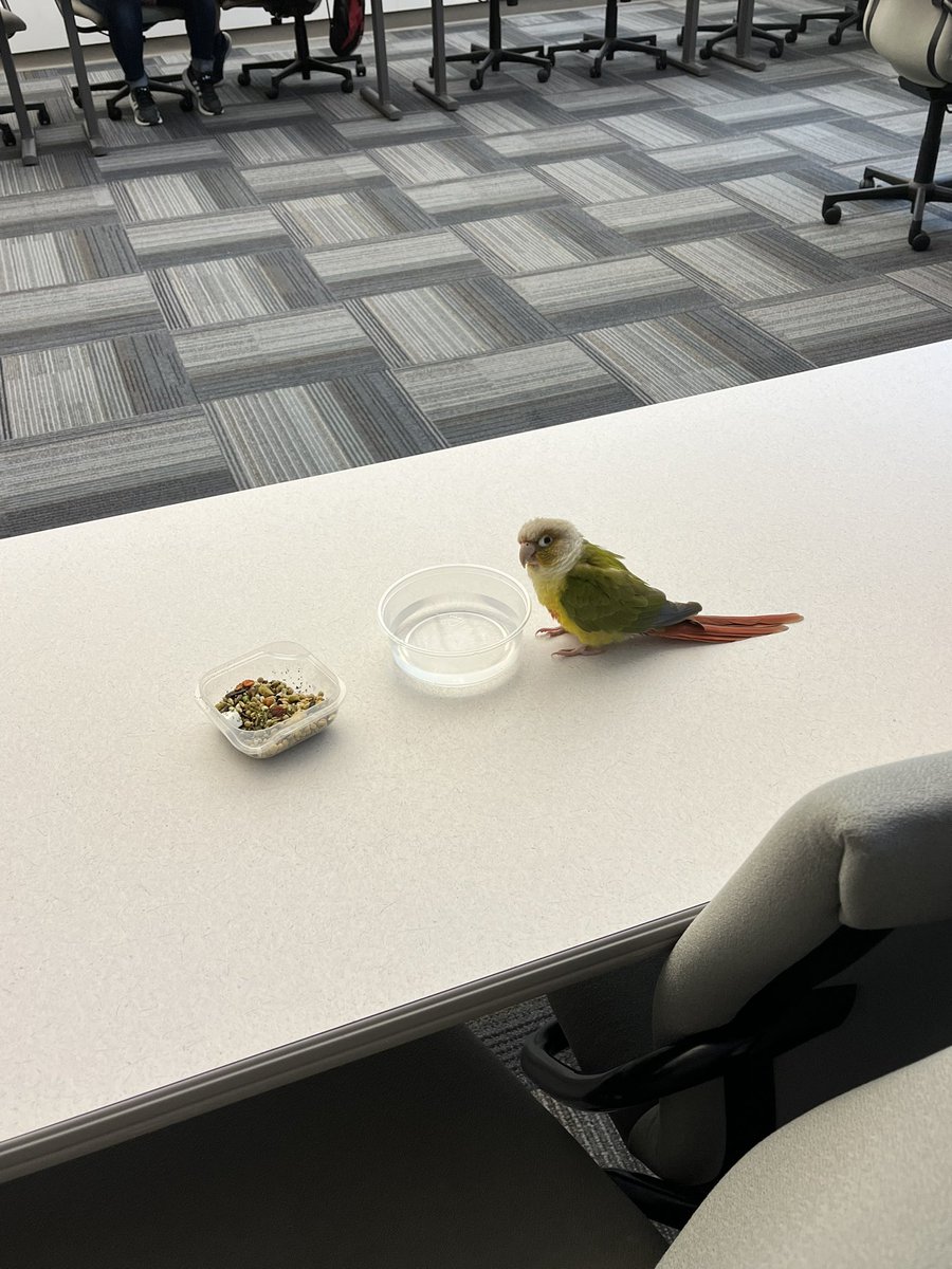 KristenLabazzo's tweet photo. Piña was a hit at the @BMERutgers de-stress event! Finals start next week and the students needed some pet therapy! https://t.co/DuEwIq0oXj