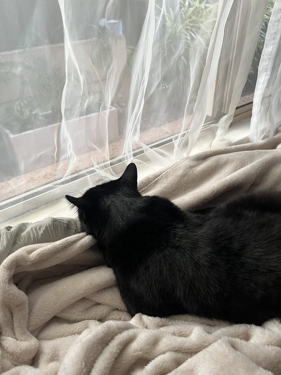 sarah 𓆩♡𓆪 tweet media