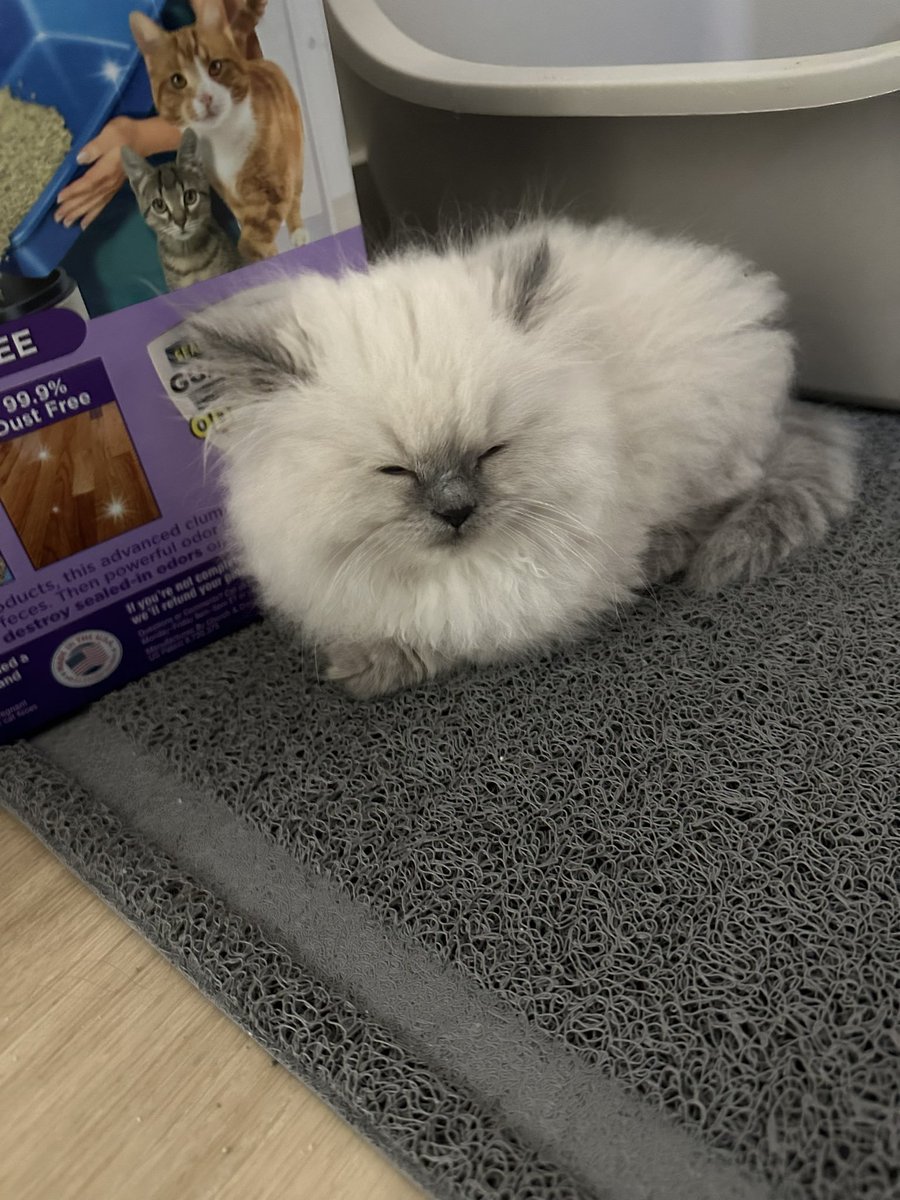 Qualed Early For Finals <a href="/on1btw/">On1</a> Landing Mansion Split