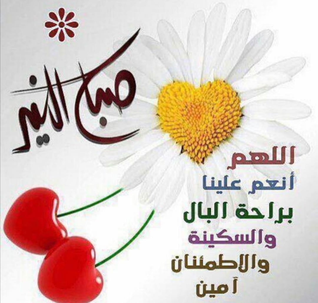 eslam5113466504's tweet photo. https://t.co/3iVu3OWPWB