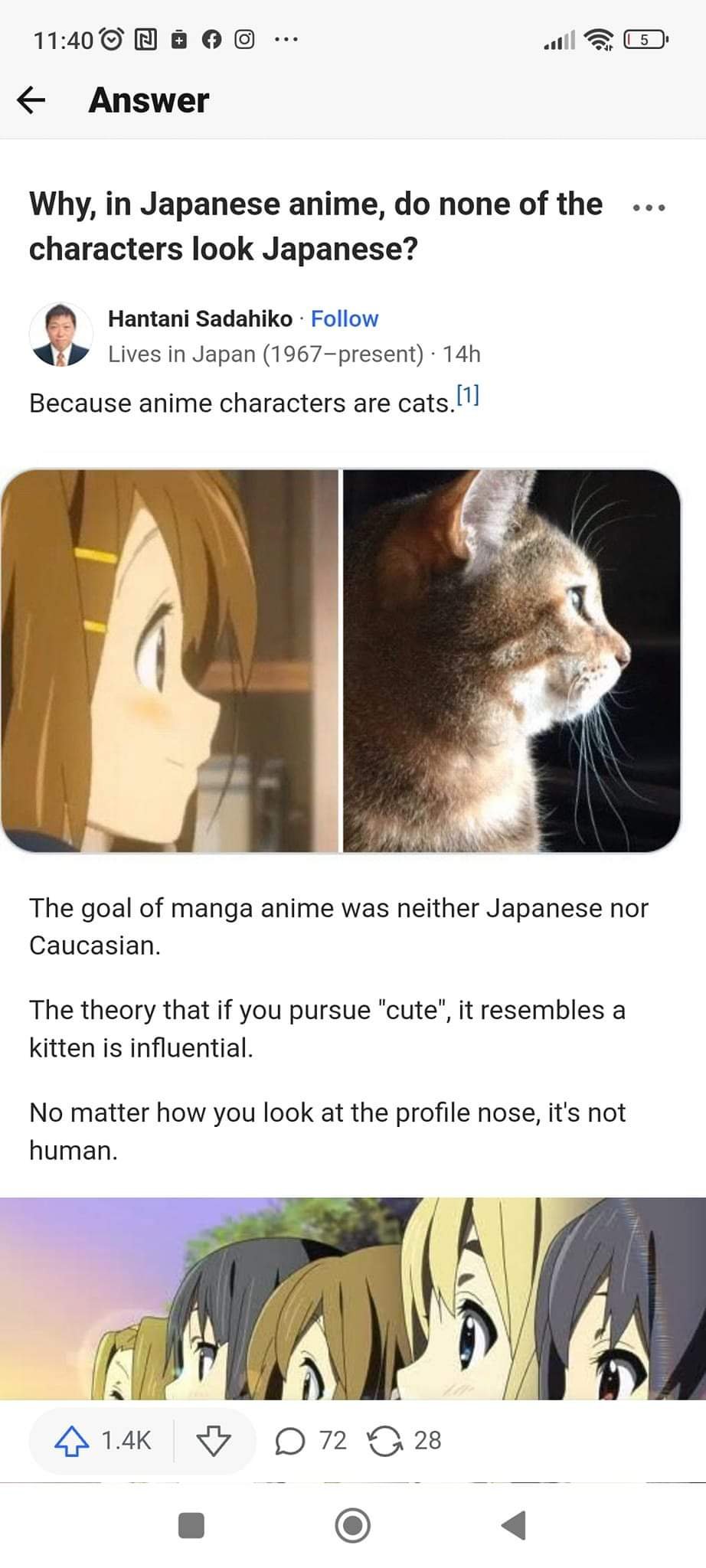 FUNNY ANIME MEMES When She Really is a Cat Girl  Bilibili