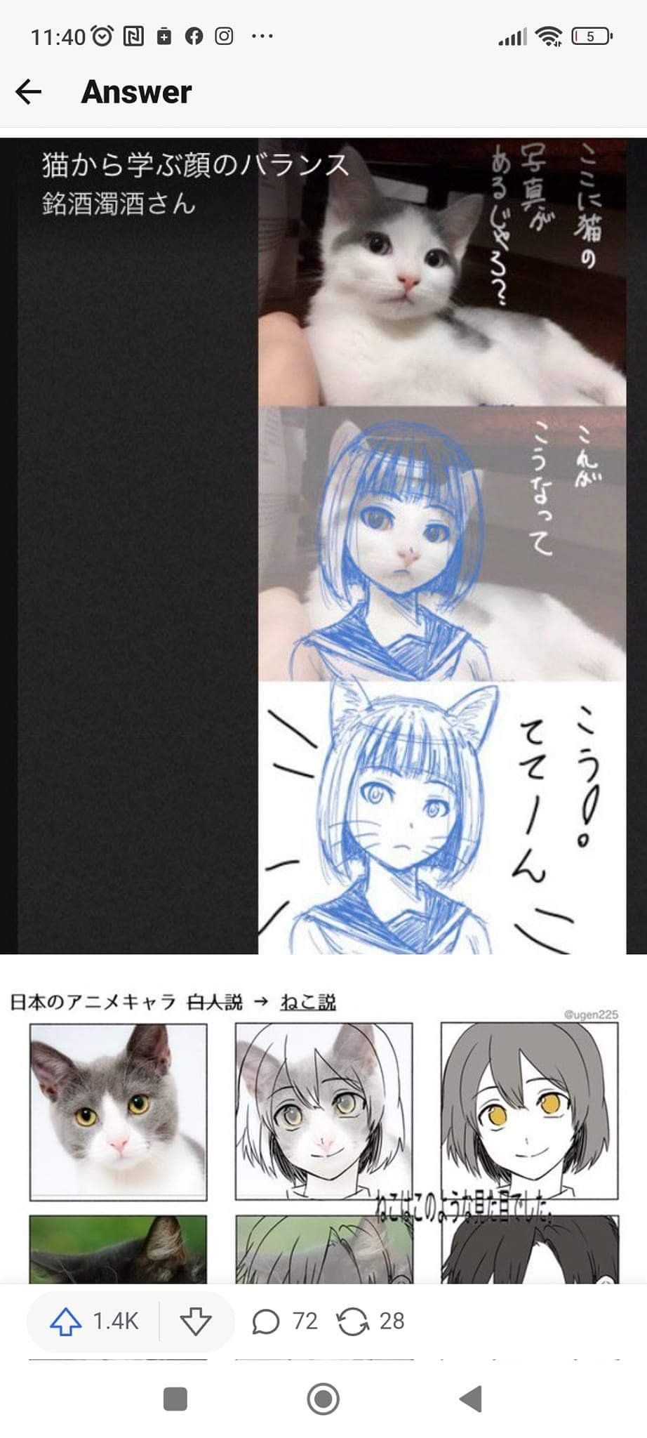 Why Do Anime Characters Look The Same