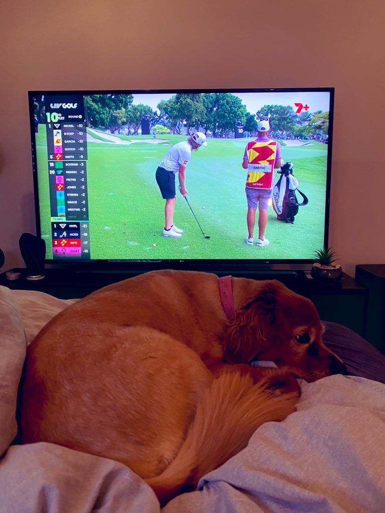 SpaghettiSalt69's tweet photo. Watching Ripper GC tear it up in Singapore! Lots of love from Sydney for @livgolf_league 🍻
#LIVbroadcast 
#LIVGolf 
#RipperGC https://t.co/g7eBn3xaVH