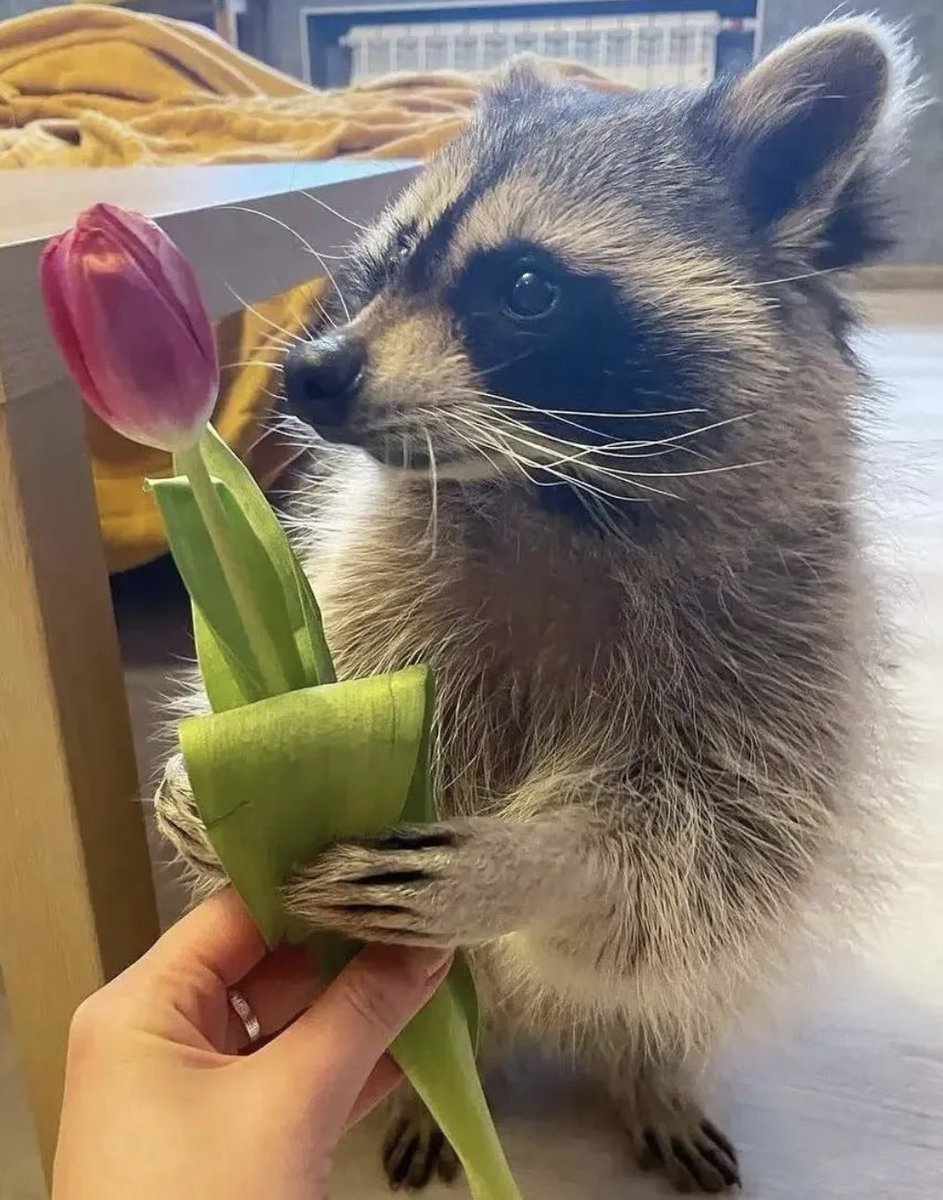 Petitgateaud's tweet image. Best wishes, #MrsAngry