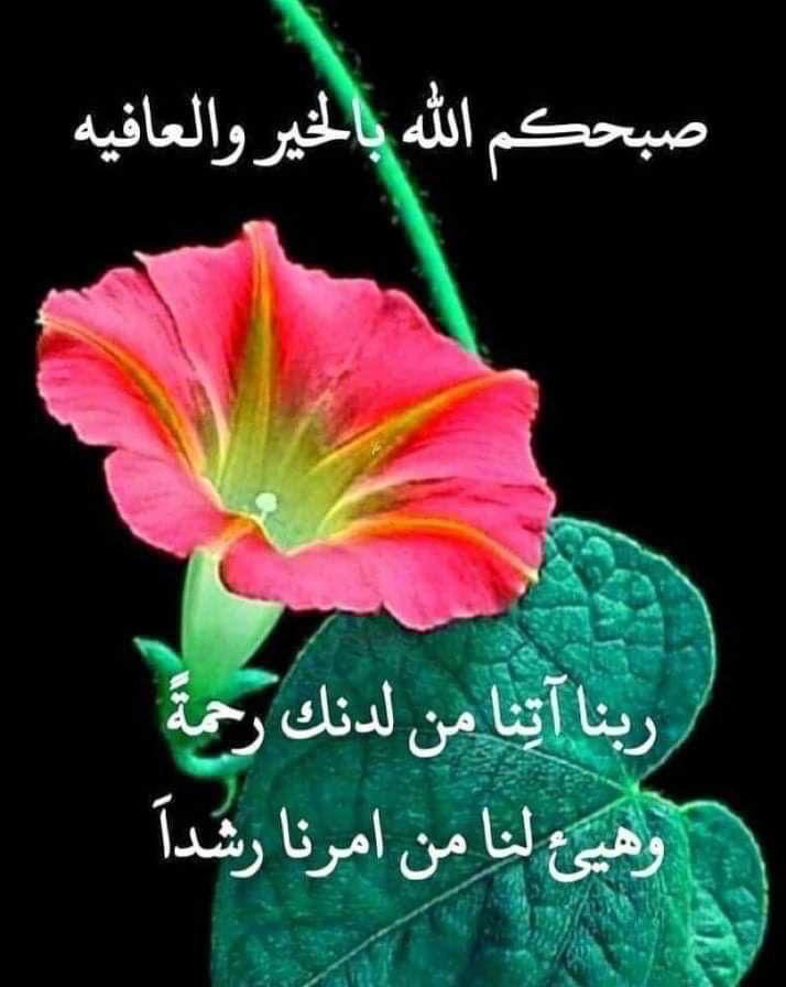 shoug (@aljwry59) on Twitter photo 