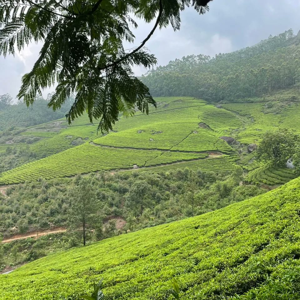 bsquadroyals's tweet photo. Enroute munnar.

Pictures clicked by Jishnu

#munnar #vattavada #travel #ridersofinstagram #riderlife https://t.co/VdAdqICfHh