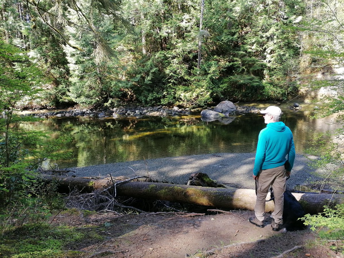 Longing to start fishing (in Canada) #flyfishing