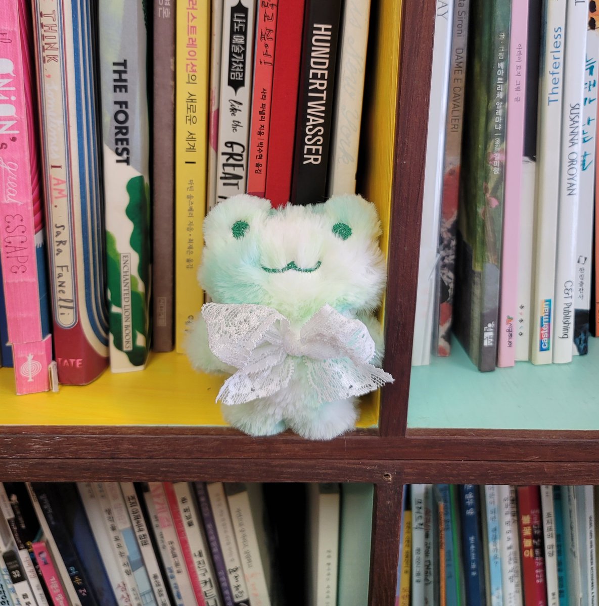 비오는날엔 기부니 개구리다🐸
팔로우알티 해주시는 한분께 사진속 모히또 개구리다 한마리를 보내드려요~

5월1일까지
당발 5월2일 오전에 공지후 디엠드리겠습니다(사칭계정조심💕)