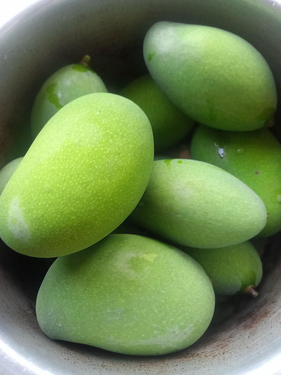 Mangoes of my lovely garden.
#Mango #summer.
#aampanna .