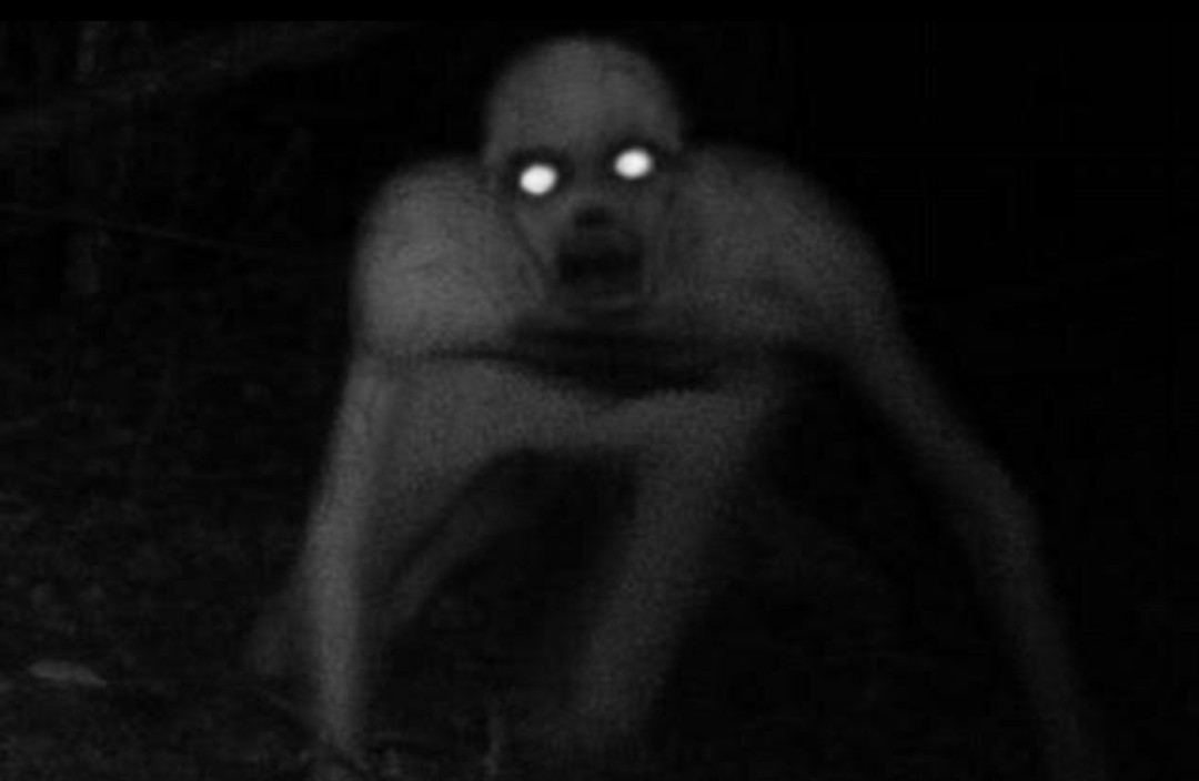laprassofat's tweet photo. Okay but why is it an ongoing fear of mine that if I look out a window at night the rake will be looking at me https://t.co/jOscC2Z2UH