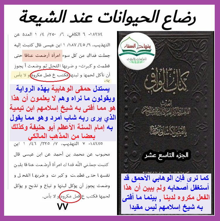 وأنت خليفتي في كل مؤمن بعدي tweet media