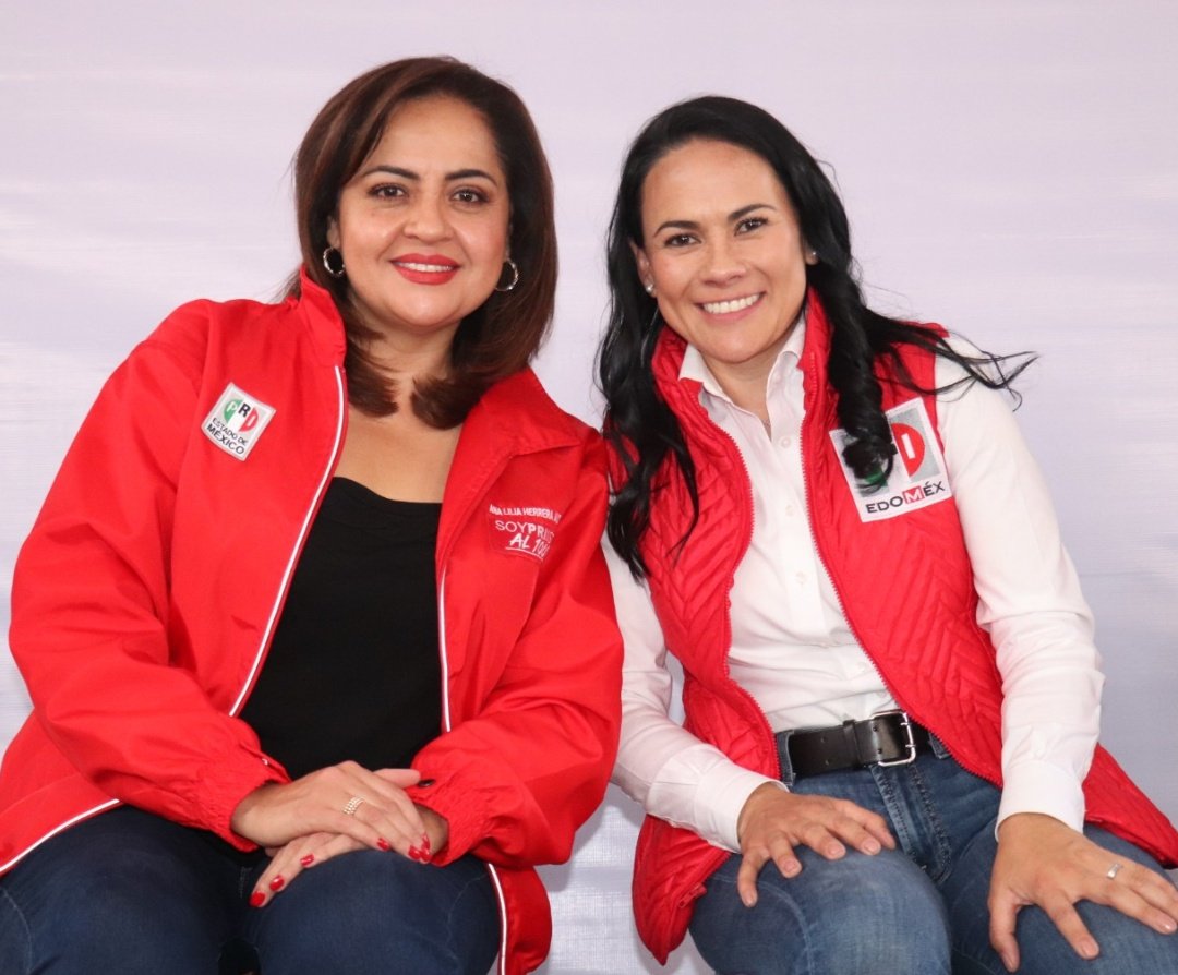 AnaLiliaHerrera's tweet photo. Las y los mexiquenses nos sentimos orgullosos que seas nuestra abanderada, querida @AlejandraDMV; tu capacidad, valentía y experiencia servirán para unir a las familias y resolver los problemas del #EdoMéx.

¡Vamos juntos y juntas hasta la victoria! 👊🏼

#UnirEsResolver #VotAle https://t.co/8SEjJTTBuK