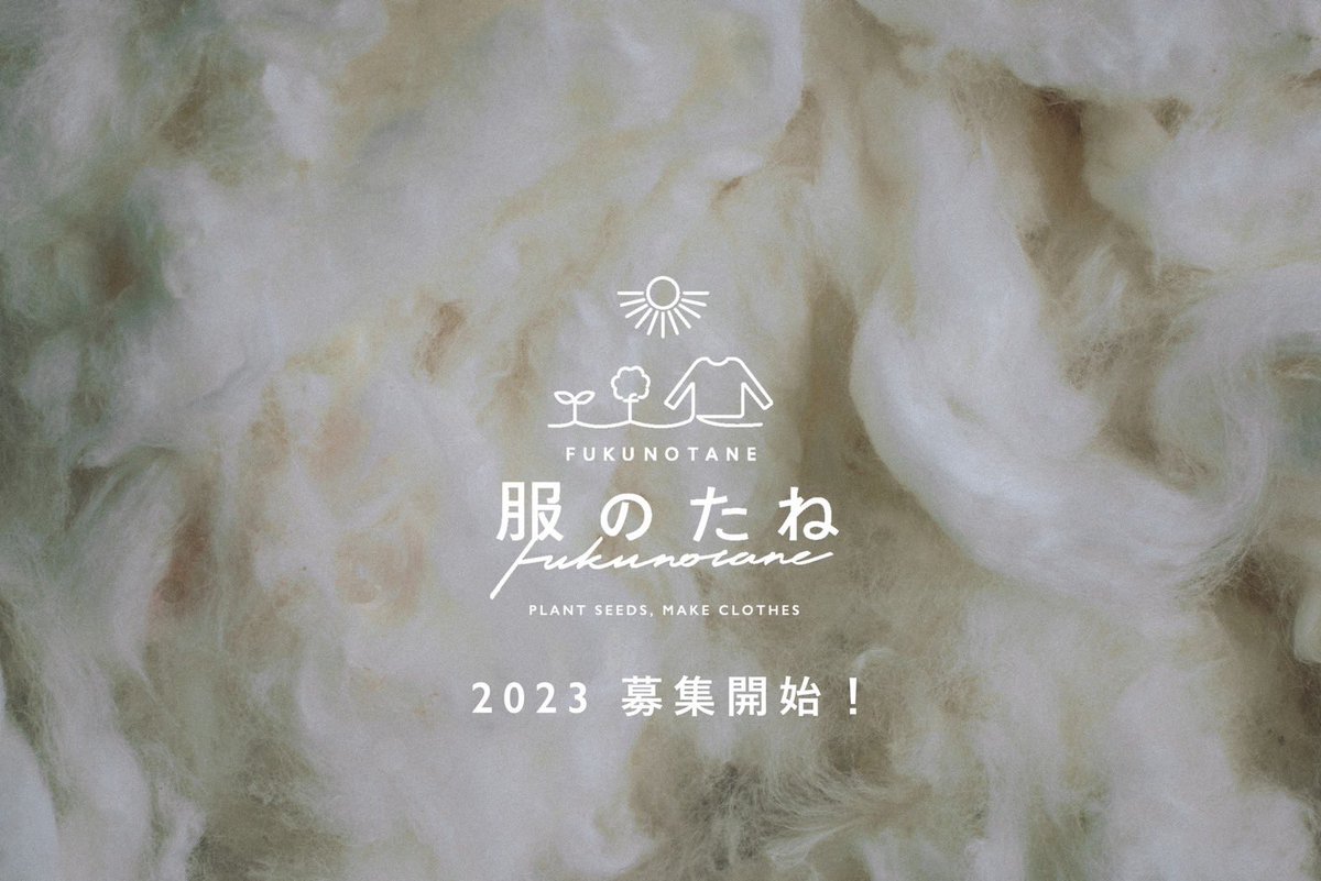 arisa_kamada's tweet photo. 今年もやります！ #服のたね 
気づけば今年で6年目。今年はみんなで育てたコットンでスウェットパンツをつくります。
申込みは４月いっぱい（コットンの種まきは５月なのでこのタイミングじゃないと間に合わなくて）
小さなベランダで大丈夫です。日当たりは必須です🪴🪴🪴
https://t.co/0jQV7FeAuw https://t.co/hchCZtBPn5
