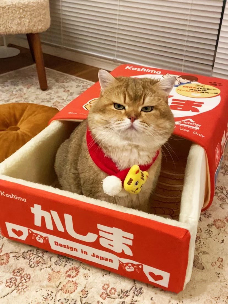 kashimaJP's tweet photo. 💥💥Emergency🚨!!!A man made a cat into a cookie and the kitten began to rebel.......
In fact, it's one of our most popular product: Oversized pet cookie box bed🛌. Because it is too comfortable, the cat show a strong sense of territory.
#bbcanimals #bbcnews  #catattack #petbed https://t.co/Y74pk8HreX