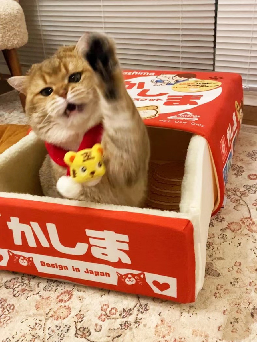 kashimaJP's tweet photo. 💥💥Emergency🚨!!!A man made a cat into a cookie and the kitten began to rebel.......
In fact, it's one of our most popular product: Oversized pet cookie box bed🛌. Because it is too comfortable, the cat show a strong sense of territory.
#bbcanimals #bbcnews  #catattack #petbed https://t.co/Y74pk8HreX
