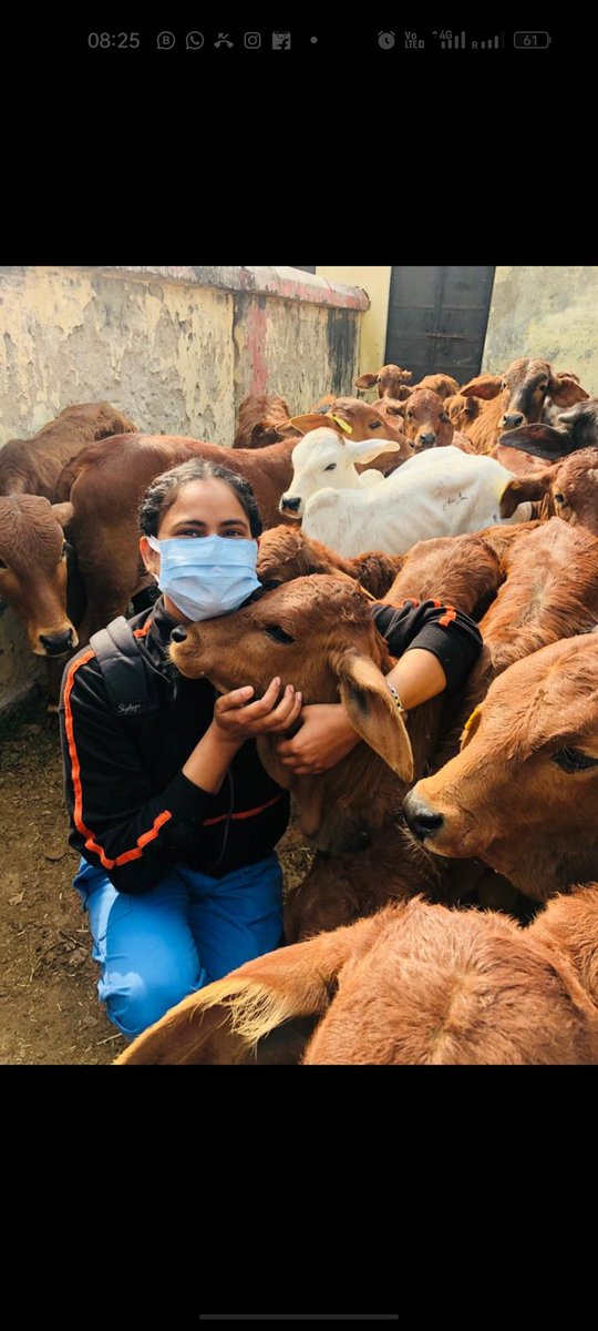 एक अच्छा पशु चिकित्सक वही है जो अपने रोगी (पशु) की आंखें पढ़ना जानता हो...क्योंकि वो बोलते हैं...उनके लिए जो सुन्ना जानते हैं...#worldveterinaryday2023