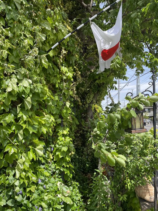 今日は元旦、建国記念日に並ぶ旗日オブ旗日のひとつ、昭和天皇の誕生。 今日.. | 志恩(しおん)🇯🇵 さんのマンガ | ツイコミ(仮)