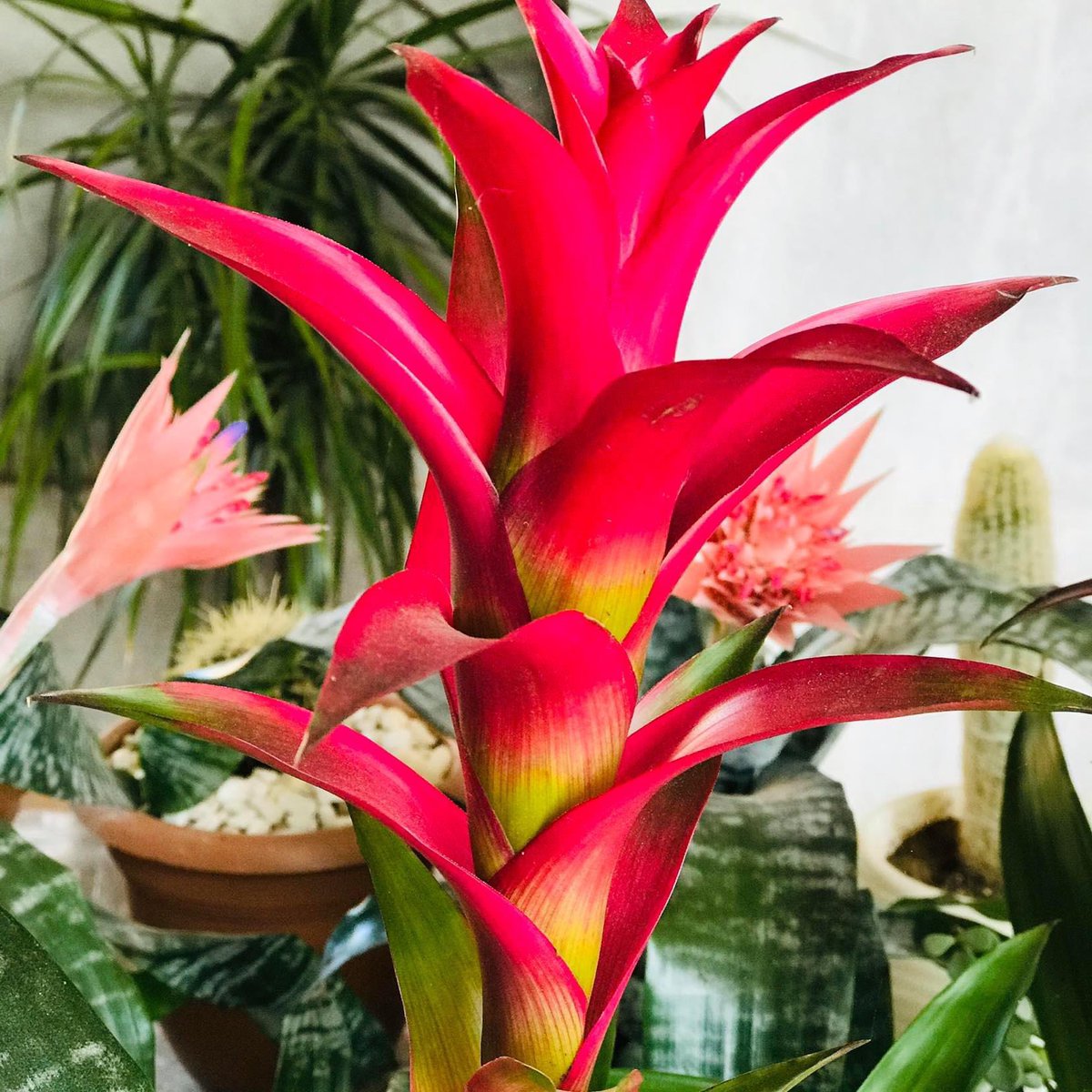 Twitter'a ne zaman katıldığını hatırlıyor musun? Ben hatırlıyorum! #TwitterYıldönümüm